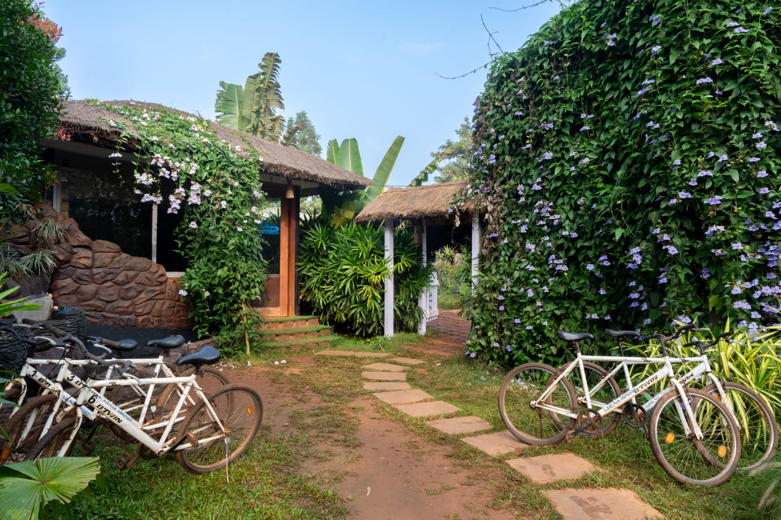 WhatsApp Image 2026-01-07 at 10.58.03 PM