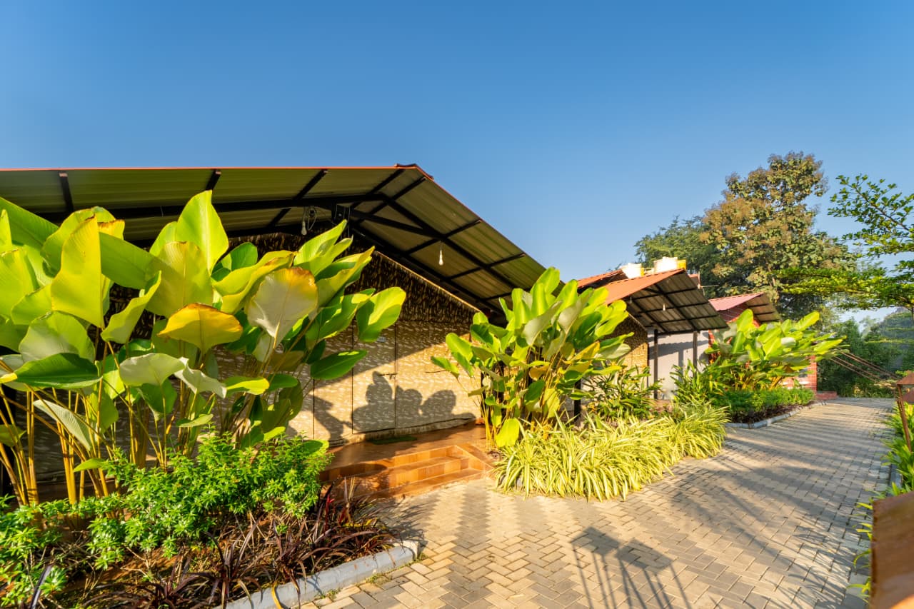 WhatsApp Image 2026-01-17 at 10.50.32 PM