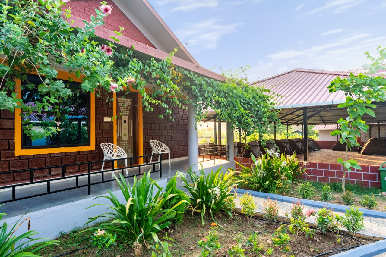 WhatsApp Image 2026-01-17 at 10.50.41 PM