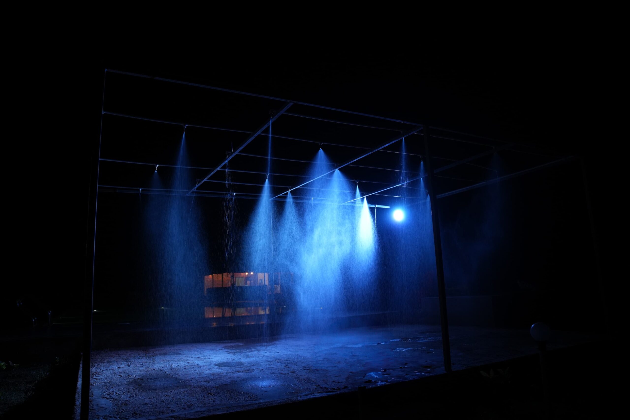 WhatsApp Image 2026-01-17 at 8.44.36 PM