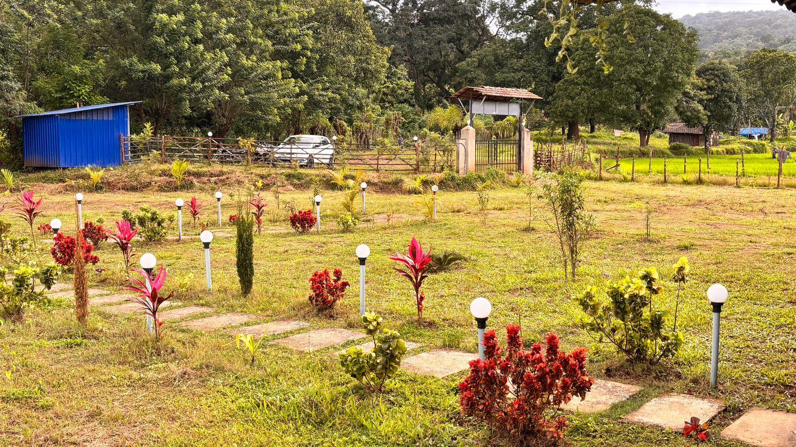 WhatsApp Image 2026-01-17 at 8.45.29 PM