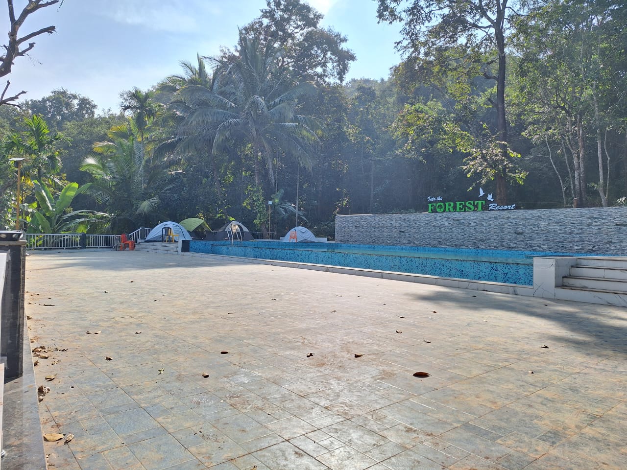 WhatsApp Image 2026-01-17 at 9.56.18 PM