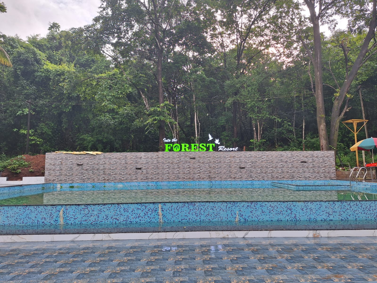 WhatsApp Image 2026-01-17 at 9.56.20 PM